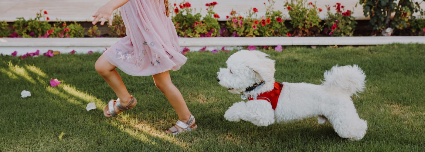 DogWatch of Central Florida, Wintergarden, Florida | Outdoor Hidden Dog Fences Slider Image